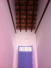 ../../company/proyects/HuertoDonJorge/imagenes/images/big/125.jpg